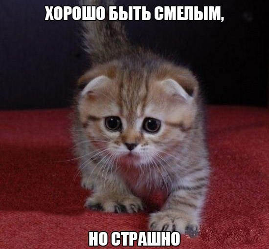       - 6  2014  21:33