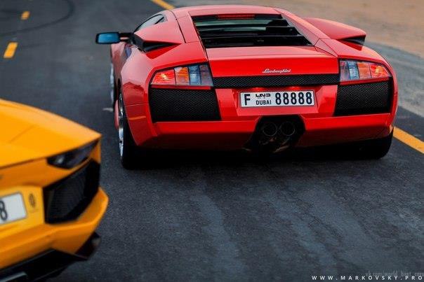 Lamborghini Murcilago & Aventador. - 5