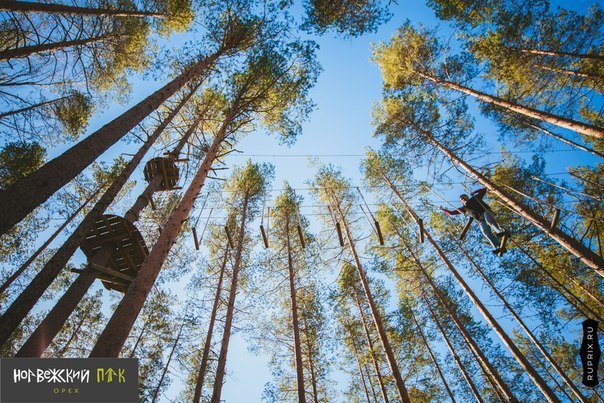 Nordway Park веревочный парк