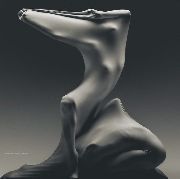 �����: Vadim Stein