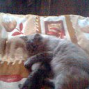 ���� � ������� �� ������� ���� ����������