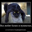 ���� ������, ������, 56 ��� - ��������� 5 ������ 2014 � ������ ������ ��������