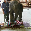 ���� ������, ����������� - ��������� 7 �������� 2014