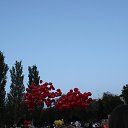 ���� ���������, ������, 65 ��� - ��������� 21 �������� 2014 � ������ ����� ������ 2014�