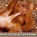 ���� ���������, ������, 68 ��� - ��������� 2 ������� 2014 � ������ ���� ����������