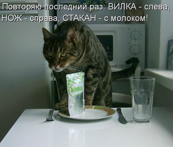  - 31  2014  13:49
