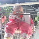 ���� ���� �������, ������, 46 ��� - ��������� 5 ������� 2014