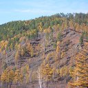 ���� ������, ����������� - ��������� 15 ������� 2014 � ������ ���� ����������