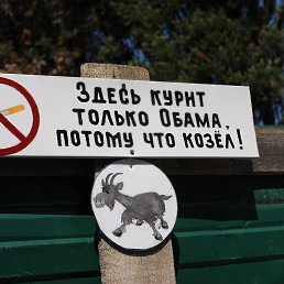 ���� �����, ������������ - ��������� 18 ������� 2014