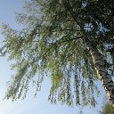 ���� �����, ������ - ��������� 20 �������� 2014 � ������ ���� ����������