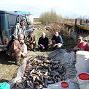 ���� ������, ����, 59 ��� - ��������� 23 ������ 2014