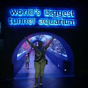 ���� �����, �������, 53 ���� - ��������� 10 ������� 2014 � ������ ���� ����������