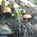 ���� ��������� ����������, �����, 59 ��� - ��������� 22 ������ 2014 � ������ ���� ����������