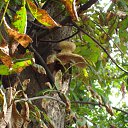  Stas, , 65  -  1  2014    