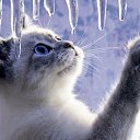 ���� ����, ������, 67 ��� - ��������� 11 ������ 2014 � ������ ������ ��������