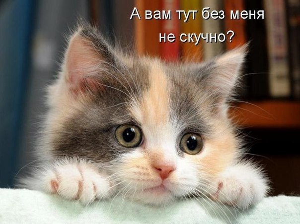 ��� ���� � ����� �� �� - 19 ������ 2014 � 16:36