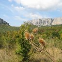 ���� ���������, ���� - ��������� 3 �������� 2014 � ������ ��������� �������