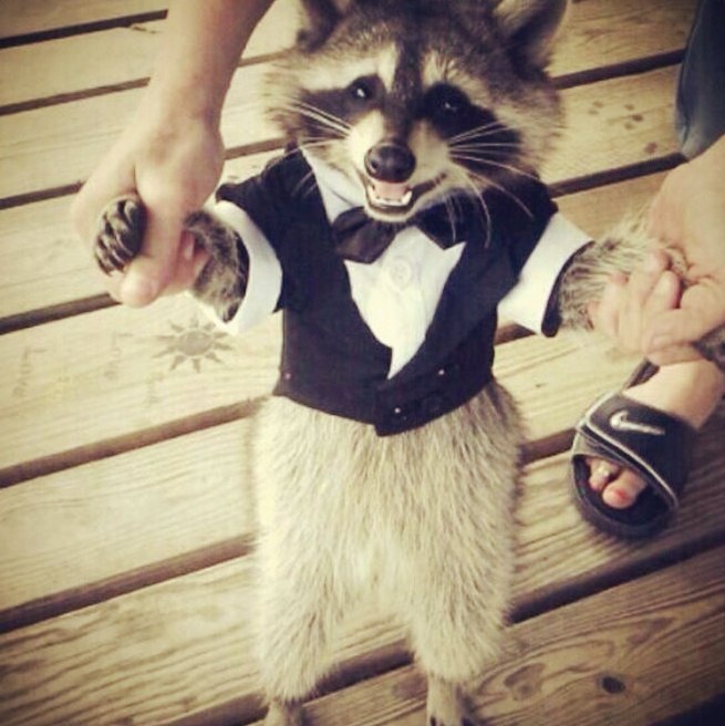 ����� �� ���� ����� ����� - 5