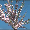 ���� Narval (54 ��.), ������, 67 ��� - ��������� 11 �������� 2014 � ������ ������ ��������