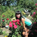 ���� �����, ����, 39 ��� - ��������� 15 ������� 2014 � ������ ���� ����������