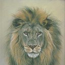 ���� Yura, ���������, 53 ���� - ��������� 17 ������ 2014 � ������ ���� ����������