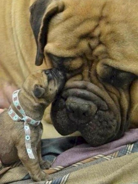   - 16  2014  03:31 - 3