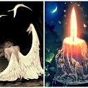 ���� ��������, �����������, 38 ��� - ��������� 30 ������� 2014 � ������ ������ ��������