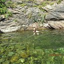  Tevos, , 43  -  28  2014    