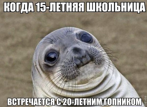   - 13  2014  13:27