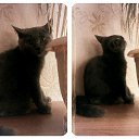 �� ���������� ���������, �� ��������� ���� ������))) �� ������� ������ ��������