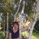 ���� �����, �������� - ��������� 7 �������� 2014 � ������ ������ ��������