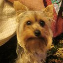 ���� �� ������� ����������� �����,���� � �����