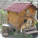 ���� �����, ������, 46 ��� - ��������� 25 ������� 2014 � ������ ������ ��������