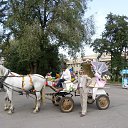 ���� ������, ������, 65 ��� - ��������� 31 ������� 2014 � ������ ���� ����������