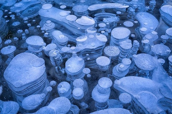  .  (Abraham Lake)     .   ... - 8