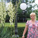 ���� �������, ����� - ��������� 16 ������ 2014 � ������ ���� ����������