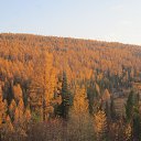 ���� �������, �������, 41 ��� - ��������� 1 ������� 2014 � ������ ���� ����������