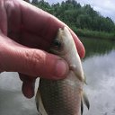 ���� �����, ������� ������, 40 ��� - ��������� 22 �������� 2014 � ������ ���� ����������