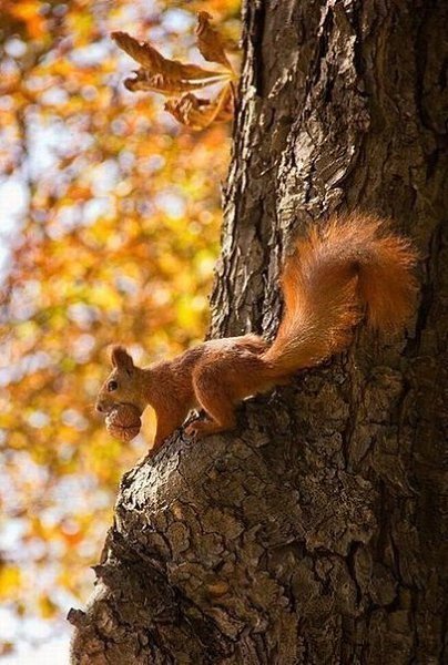    ,   ,   .      , ... - 3