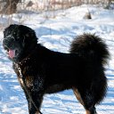 ���� Leonid, ������������, 55 ��� - ��������� 22 ������� 2014 � ������ ���� ����������