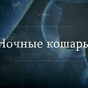 ���� Ginger, ������� - ��������� 25 ������� 2014 � ������ ������ ��������