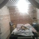 ���� �������, �����-���������, 62 ���� - ��������� 10 ������� 2014 � ������ ����� � �������