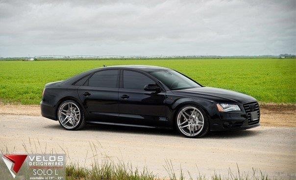 Audi S8 (D4).4.0L V8 TFSI: 520 .. : 650 :   : 4.2 ... - 2