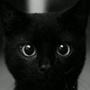 ���� ����, ������ ��������, 42 ���� - ��������� 1 ������ 2014 � ������ ���� ����������