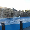  Ggg, , 59  -  25  2014    