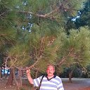 ���� ������, ������, 65 ��� - ��������� 7 ������� 2014 � ������ ���� ����������