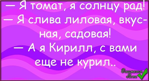 Не рад солнцу. Зайчик рад. Лучи солнца. Солнце греет. Солнышко свети.