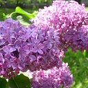 ���� ����, �����, 56 ��� - ��������� 13 ������ 2014 � ������ ������ ��������