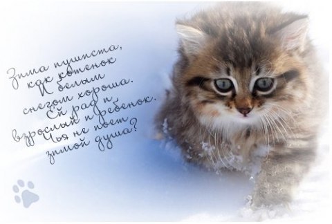 ������ - 1 ������� 2014 � 13:16
