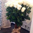 ���� �����, �������� - ��������� 25 ������ 2014 � ������ ���� ����������